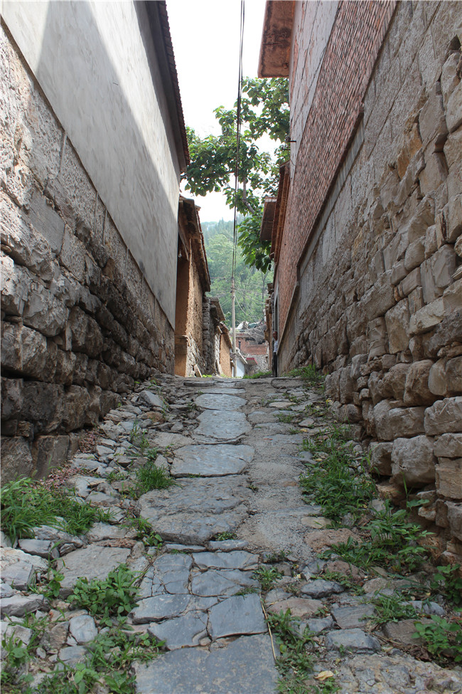 ��ҳ- �ƶ����ʼ��Źٷ���վ